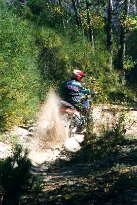 Parque natural del Alto Tajo, 1996